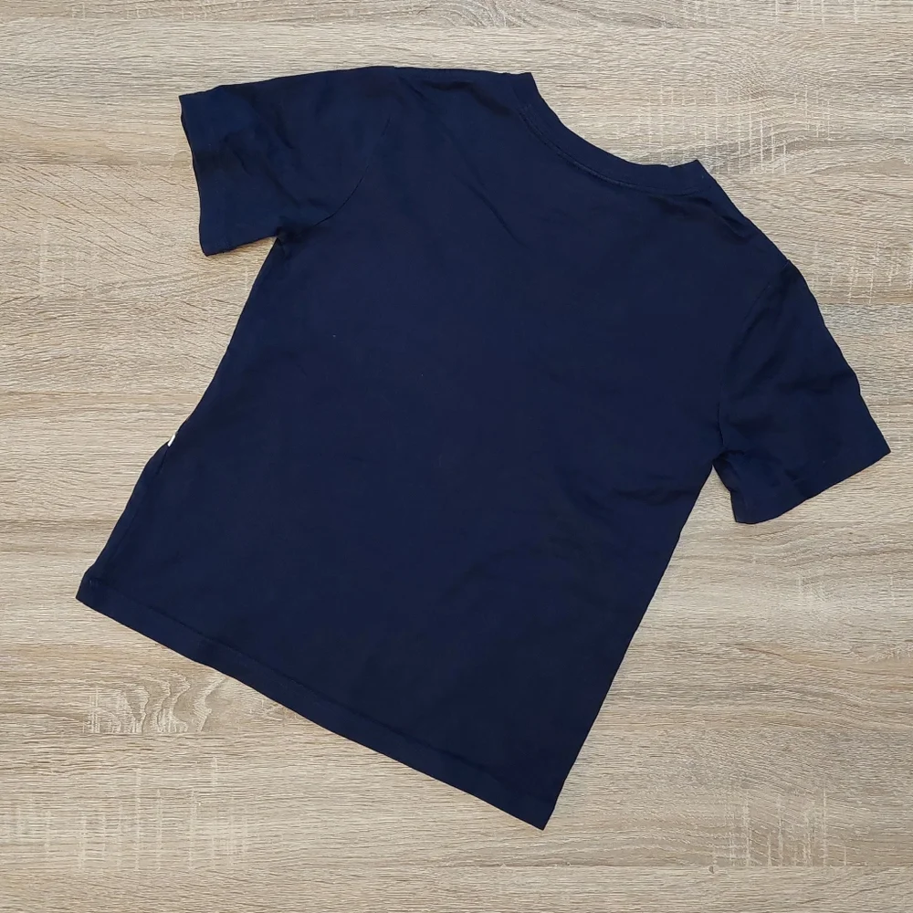 Another arachnid! - Picture 7 of 10